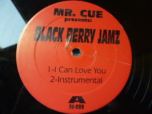 Mr. Cue Presents Black Berry Jamz / I Can Love You オリジナル盤 12 HIPHOP 激渋サウンド 