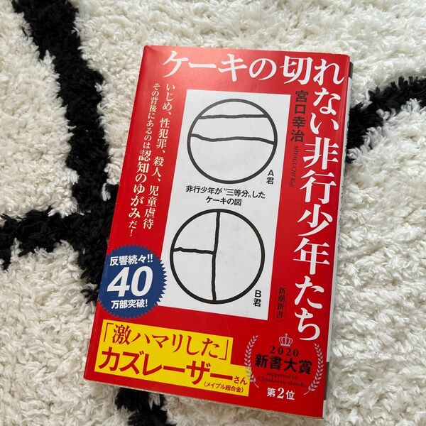 ケーキの切れない非行少年たち （新潮新書　８２０） 宮口幸治／著