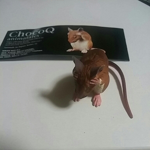 チョコQ　日本の動物１１弾　アカネズミ