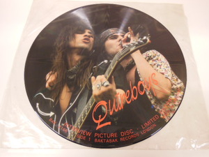 Qwireboys / INTERVIEW PICTURE DISC LP盤・ENGLAND
