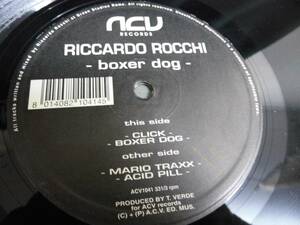 RICCARDO ROCCHI/BOXER DOG/1440