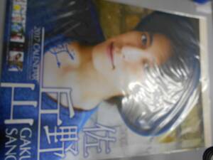 佐野岳 2017年カレンダー 約52X37センチ未使用 未開封 直筆サイン入り 青 同梱不可