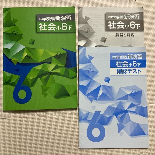 中学受験 新演習 社会 小6 下