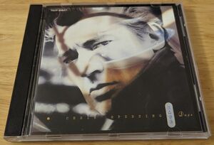 思い出のカフェデイズ　クリス・スペディング　国内盤CD