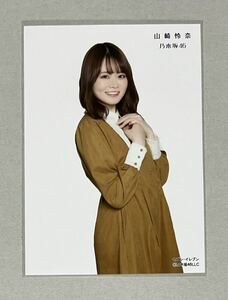 乃木坂46 山崎怜奈 セブンネット限定 9th YEAR BIRTHDAY LIVE 5DAYS 完全生産限定盤 DVD/Blu-ray 特典生写真 検)セブンイレブン