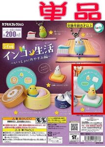 ■インコと生活～いっしょにおやすみ編～■単品：石鹸とオカメインコ 黄×灰