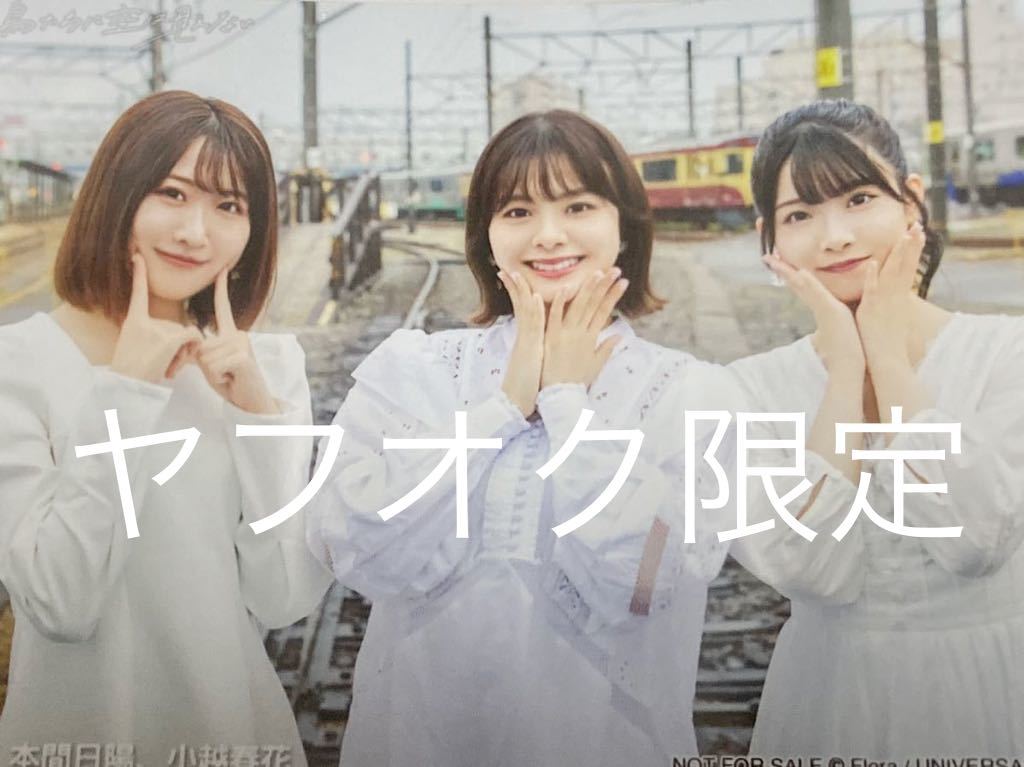 Official shop limited NGT48 8th single Migratory birds can't see the sky Not for sale Raw photo Ai Furusawa, Hiyo Honma, Haruka Ogoshi Unopened item, picture, AKB48, others