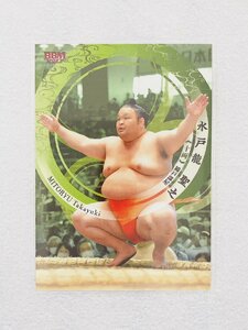 ☆ BBM2023 大相撲カード レギュラーカード 48 水戸龍聖之 十両 ☆