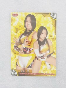 ☆ BBM2023 女子プロレスカード レギュラーカード 現役選手 100 宝山愛 ☆