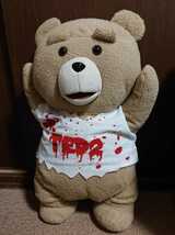 テッド ぬいぐるみ TED2 _画像1