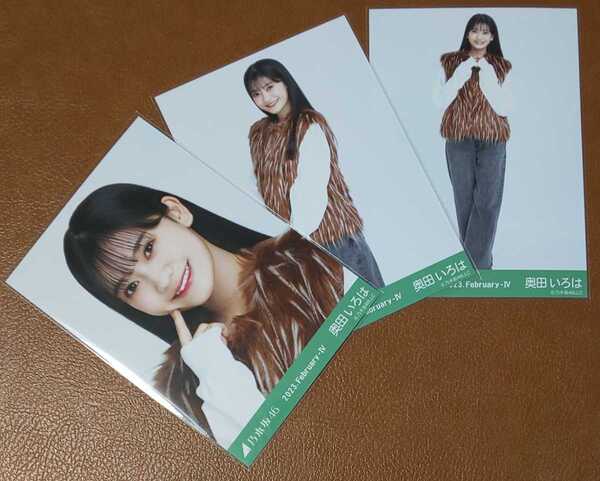 乃木坂46 奥田いろは ファーベスト 会場限定 生写真 3種 2023.February-Ⅳ 11th バスラ