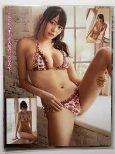 [ thick laminate processing ] Sakura . tree . swimsuit A4 change size magazine scraps 9 page [ gravure ]-020304