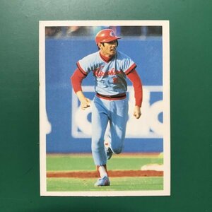 山勝　プロ野球カード　1980年版　ミニカード　小判サイズ　広島　山本　②　　【管理787】