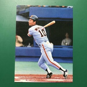 1980年　カルビー　プロ野球カード　80年　36番　白熱！開幕戦シリーズ　巨人　ホワイト　大判　枠あり　【管767】