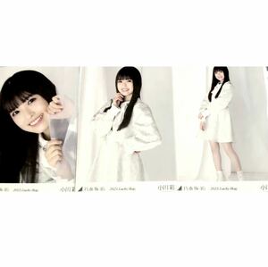 ◎ 乃木坂46 【生写真】公式 生写真 3枚 小川彩　福袋2023 luckybag パステル ヨリチュウヒキ