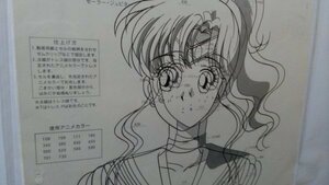  Sailor Moon краска цифровая картинка sailor jupita-