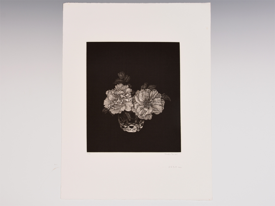 [Original] Tanami Tanbako Kupferstich Hamanasu 1982 Auflage 31/50 Bleistift signiert Mezzotint Botanischer Druck Malerei Kalligraphie b9132o, Kunstwerk, Drucke, Kupferstich, Radierung