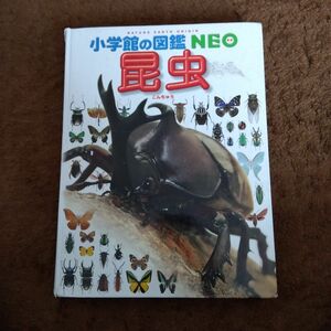 小学館の図鑑NEO 昆虫