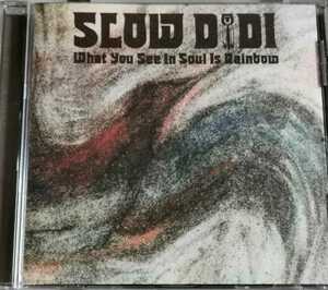 【SLOW DIDI/WHAT YOU SEE～】 CALM主宰MUSIC CONCEPTION/国内CD