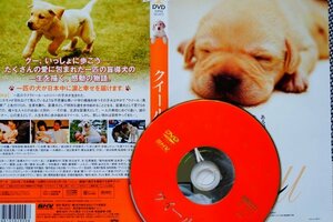 【DVD】『 クイール 』たくさんの愛に包まれた一匹の盲導犬の感動の物語！ ◆ 日本中を温かな涙で包んだ感動のベストセラー！