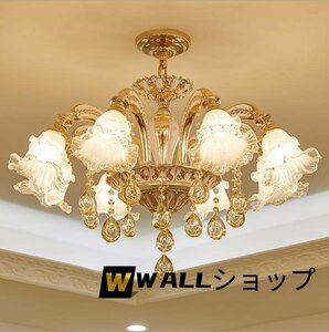  strongly recommendation * Europe and America feng shui . chandelier reception interval . part shop restaurant light stylish lighting equipment 8 light 
