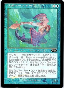 FOIL/北極マーフォーク/Arctic Merfolk/プレーンシフト/日本語版/MTG１枚 [FC]