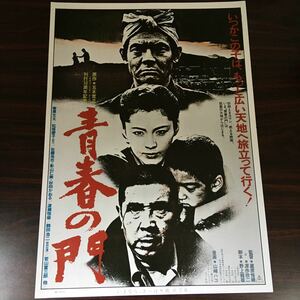 映画チラシ「青春の門」 蔵原惟繕監督 菅原文太/松坂慶子