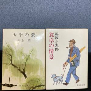 小説◆6冊まとめ売り◆青い炎の殺人/天平の甍/アールグレイから始まる日/他文庫本の画像6