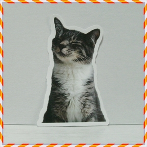 防水ステッカー・シール【ねこ・白黒の猫・可愛い・動物】♯42