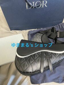 ディオールDior CD Diamond キャンバス サドル SADDLEバッグ　サドルバッグ②