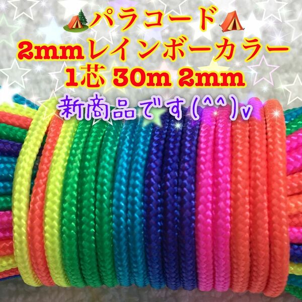 ☆★パラコード★☆１芯 ３０m ２mm ★レインボーカラー★