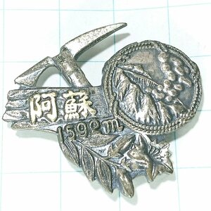 送料無料)阿蘇 ご当地 観光地 登山 山登り 旅行 記念 山バッジ ピンバッジ PINS ピンズ A14767