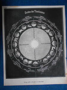 即決1850年頃ドイツ版『スミス図解天文学図4獣帯星座』天文暦学書、アンティーク、星図、天体観測、Astronomy, Star map, Planisphere