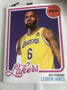 2023 FEBRUARY VOLUME NO .14 LEBRON JAMES MULTIPLAYER CARDS　PSA Magazine レブロン・ジェームズ