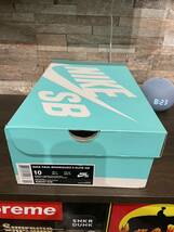 SALE！中古品！NIKE SB PAUL RODRIGUEZ 9 ELITE QS J-ROD 828037-016 US10 JP28㎝_画像9