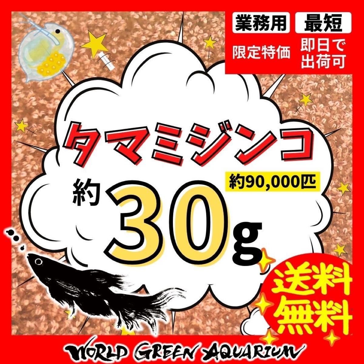 タマミジンコ爆殖装置(バケツ無し) - 通販 - guianegro.com.br