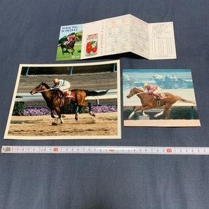 JRA メジロライアン トウショウファルコの生写真 93RACINGSCHDULE ミホノブルボンの画像1