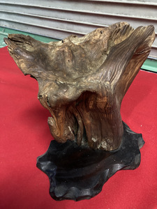 【流木飾り・天然古木】台付　長期保管品　玄関　床の間　インテリア　止り木　driftwood ネストウッド【23/01 K 】