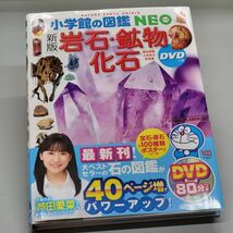 ジオード 水晶 原石42ｇ 晶洞 パワーストーン 鉱物 鉱石 希少 天然 高品質 鉱物化石シリーズ O389_画像6