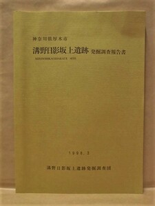 溝野日影坂上遺跡発掘調査報告書　神奈川県厚木市　溝野日影坂上遺跡発掘調査団 1998