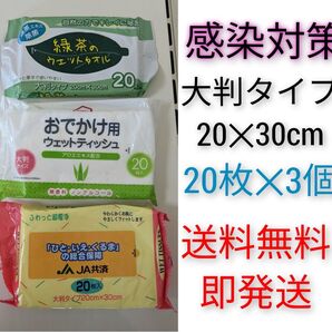 【厚手大判タイプ】ウエットテッシュ★20枚×3個★ノンアルコール★アロエエキス 茶葉エキス配合★おでかけ用 60枚 お手拭き 除菌