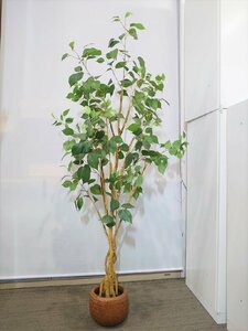 店頭引き渡し限定 フェイクグリーン オフィスグリーン 観葉植物 インテリアグリーン 人工観葉植物 造花 中古オフィス家具