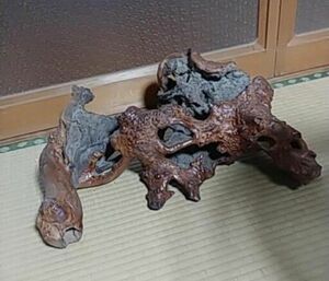 木のこぶ　置物　飾り　オブジェ　古美術　骨董品