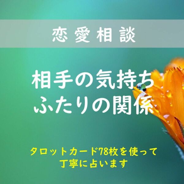 【タロット占い】相手の気持ち　お二人の関係の流れについて占います　恋愛　人間関係　占い　タロット　片思い　結婚