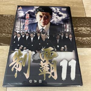 Rs11 制覇11 新品未開封　DVD 小沢仁志, 松田一三, 川本淳市 川地民夫 森羅万象