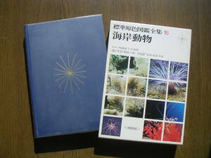 ∞　標準原色図鑑全集16　海岸動物　保育社、刊　西村三郎・鈴木克美、共著　昭和50年発行　●レターパックプラス520円●