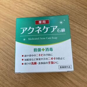 クロバーコーポレーション 薬用 アクネケア石けん 80g