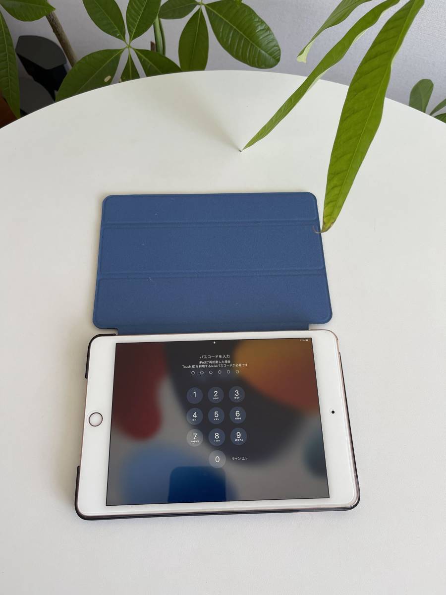 ヤフオク! -「ipad mini5 cellular 256gb」(タブレット) の落札相場
