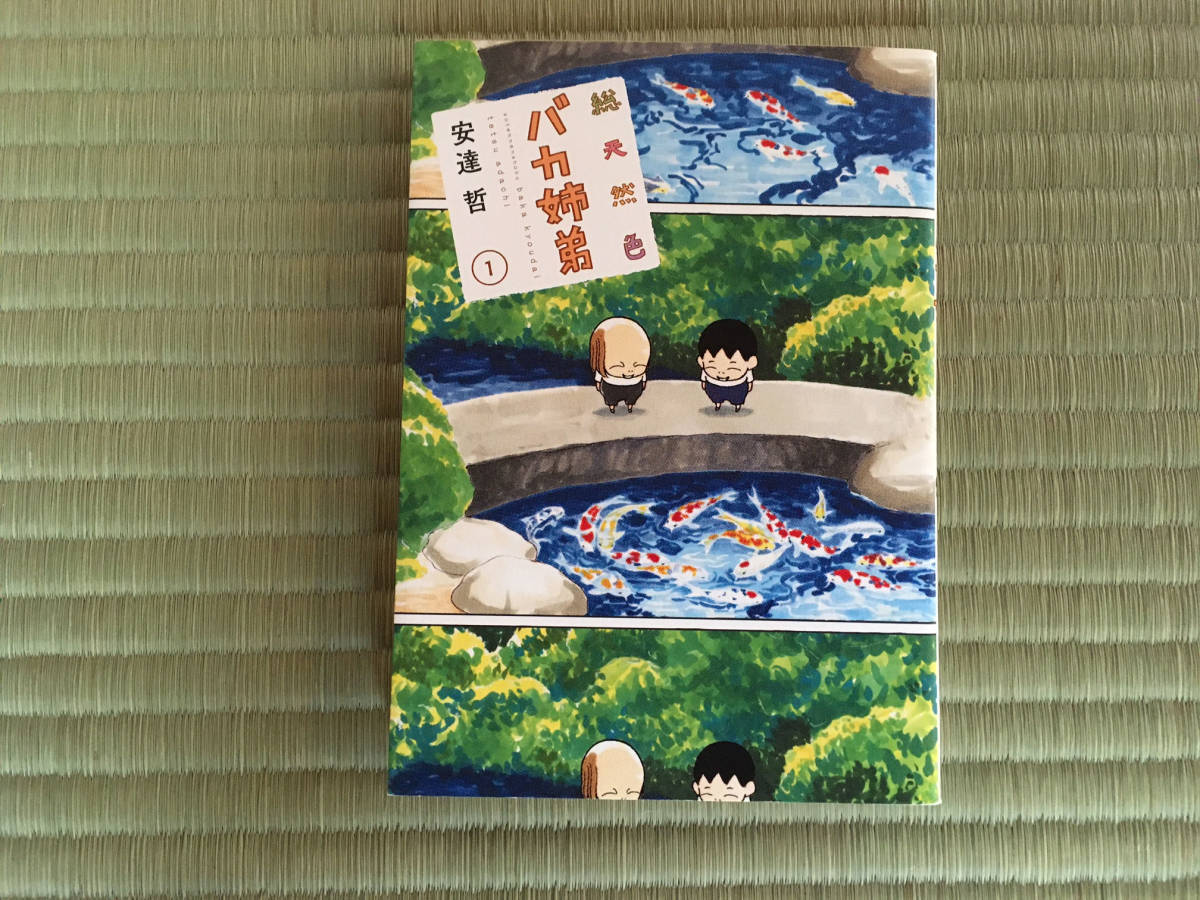 新発売の 【初版】総天然色バカ姉弟 全巻セット 安達哲著 青年漫画