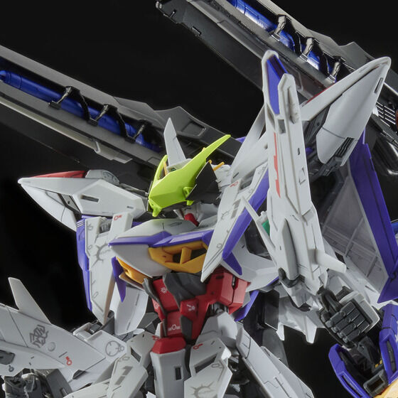 プレミアムバンダイ 限定 MG 1/100 エクリプスガンダム ライジン装備 未組立 新品
